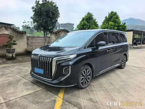 2023 HongQi HQ9