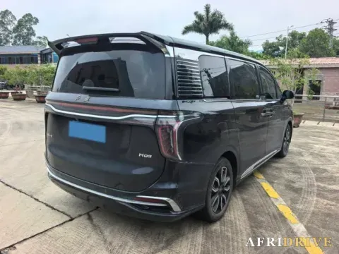 2023 HongQi HQ9 4