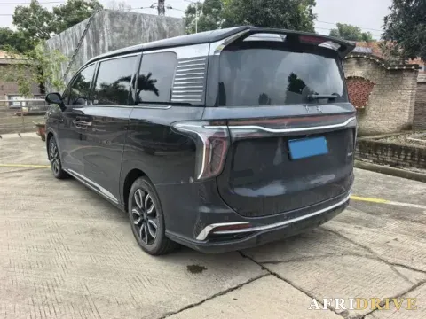2023 HongQi HQ9 5