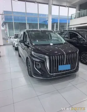 2024 HongQi HQ9 2