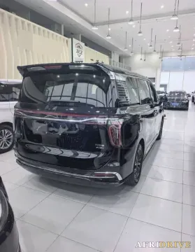 2024 HongQi HQ9 7
