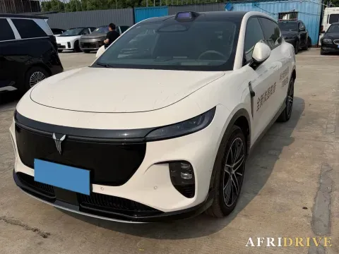 2025 Voyah ZhiYin