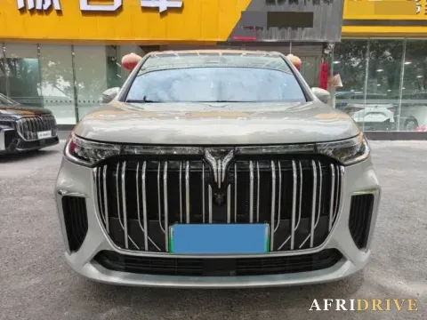 2024 Voyah Dream 2