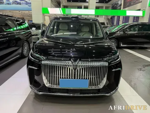 2025 Voyah Dream 2