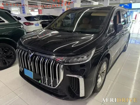 2024 Voyah Dream