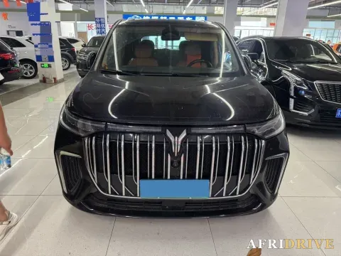 2024 Voyah Dream 2