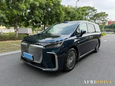 2025 Voyah Dream