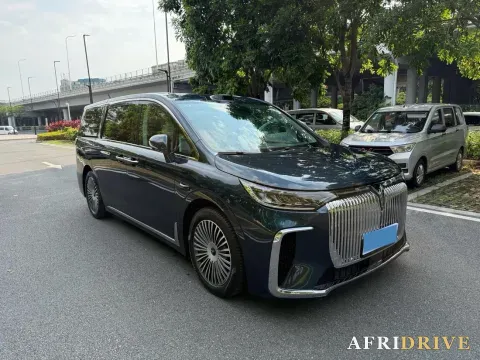 2025 Voyah Dream 3