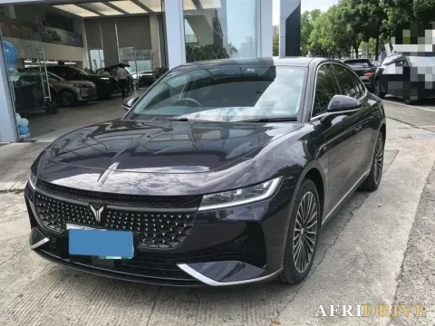 2024 Voyah ZhuiGuang