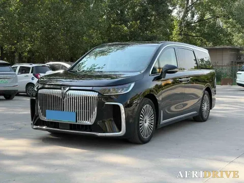 2025 Voyah Dream