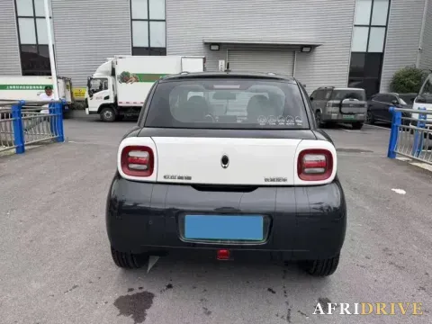 2019 Ora BlackCat 8