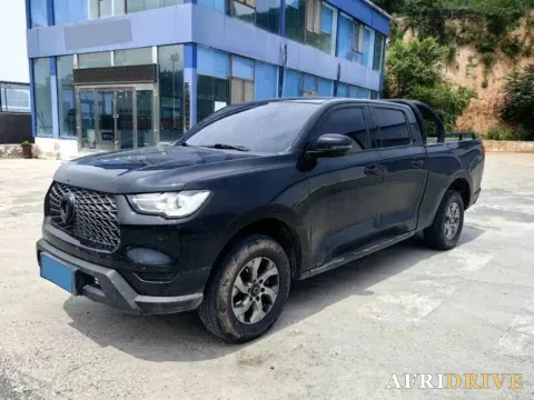 2023 Great Wall Poer