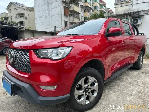 2021 Great Wall Poer