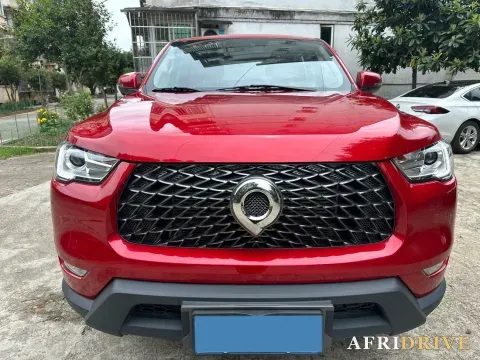 2021 Great Wall Poer 2