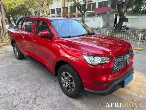 2021 Great Wall Poer 2