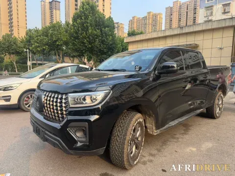 2023 Great Wall Poer