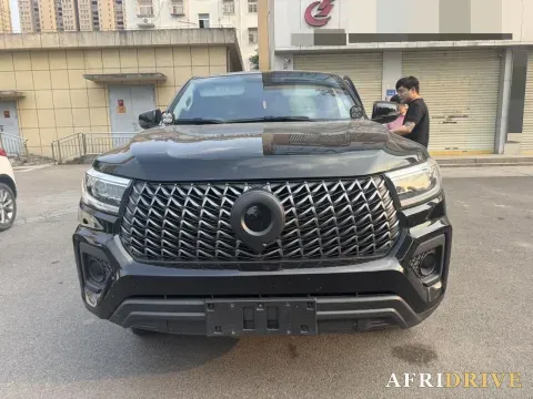 2023 Great Wall Poer 2