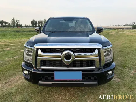 2023 Great Wall Poer King Kong 2