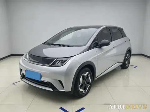 2021 BYD Yuan Pro