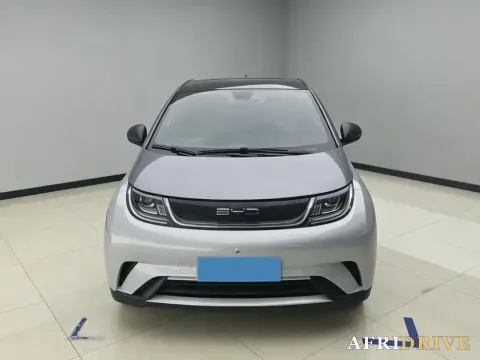 2021 BYD Yuan Pro 3