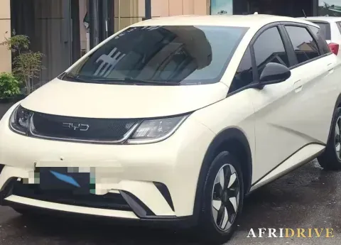2023 BYD Dolphin