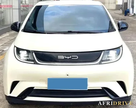 2023 BYD Dolphin 2