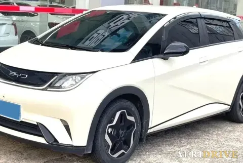 2023 BYD Dolphin 3