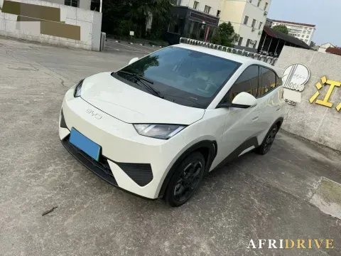 2025 BYD Seagull