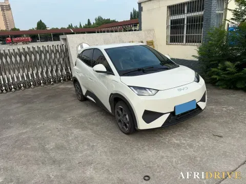 2025 BYD Seagull 3