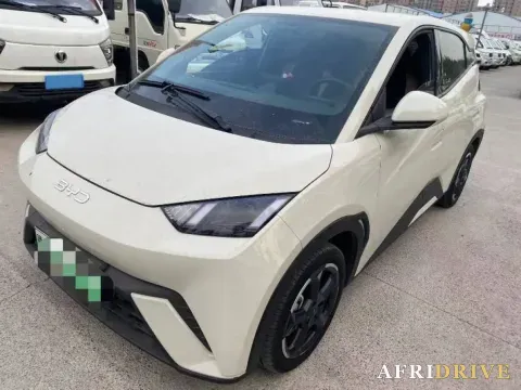 2023 BYD Seagull