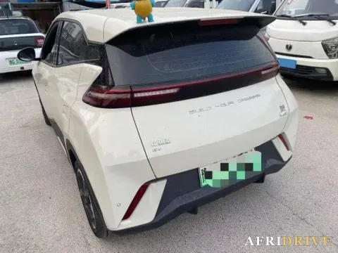 2023 BYD Seagull 4
