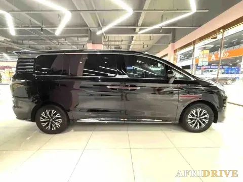 2024 HongQi HQ9 2