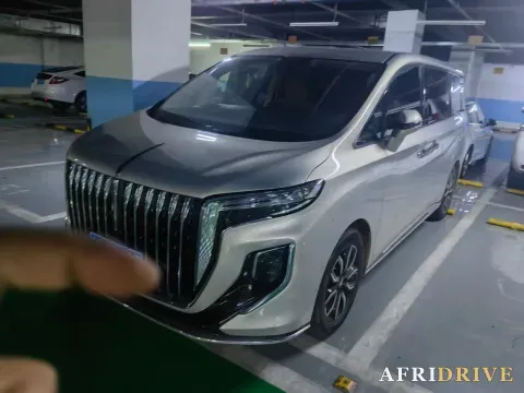 2023 HongQi HQ9