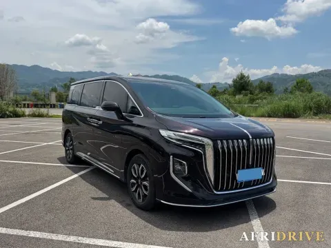 2023 HongQi HQ9 3
