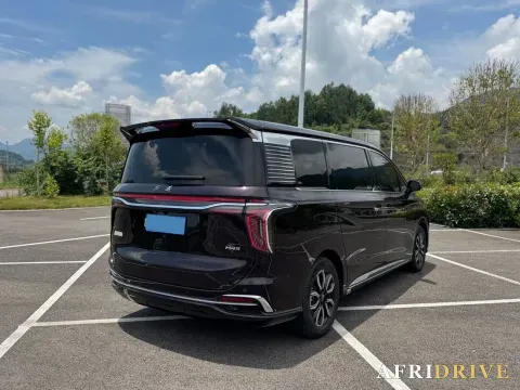 2023 HongQi HQ9 7