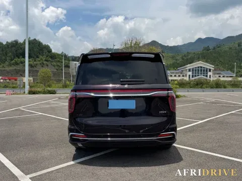 2023 HongQi HQ9 8