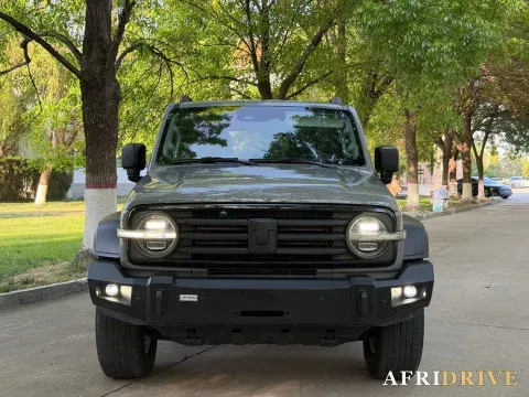 2021 Tank 300 2