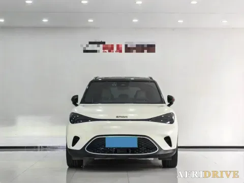 2022 Smart smart Elf 1 4