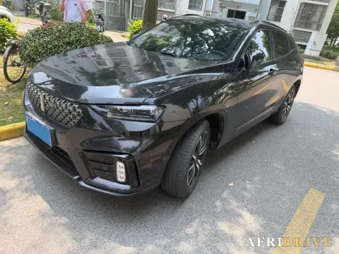 2020 WEY VV7