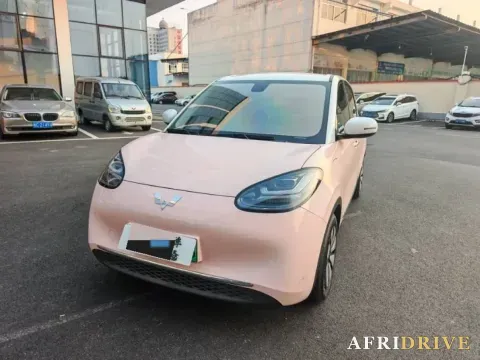 2023 WuLing BinGuo