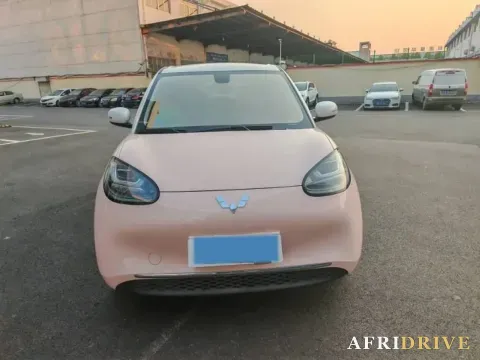 2023 WuLing BinGuo 2