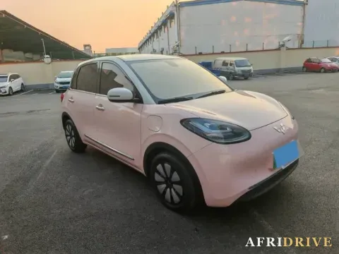 2023 WuLing BinGuo 3