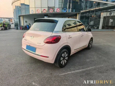 2023 WuLing BinGuo 4