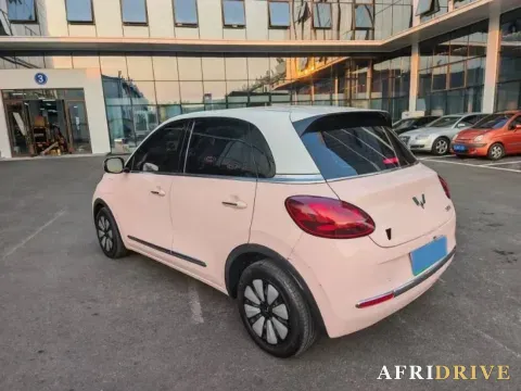 2023 WuLing BinGuo 5