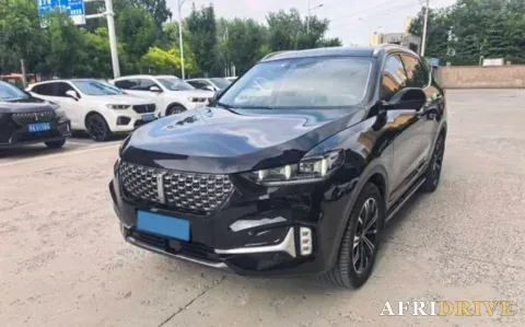 2021 WEY VV6