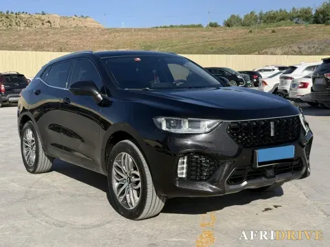 2019 WEY VV5 3