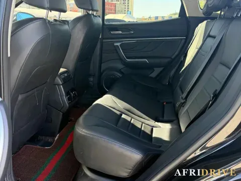 2019 WEY VV5 5
