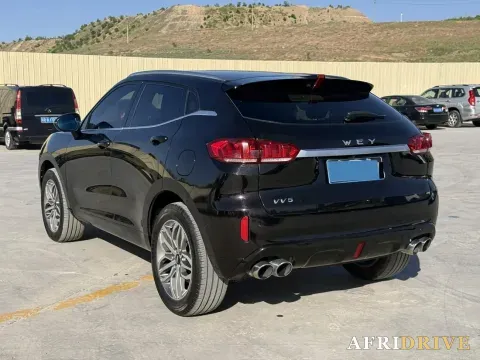 2019 WEY VV5 7