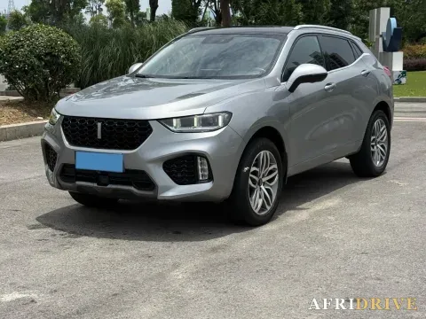 2019 WEY VV5