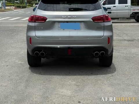 2019 WEY VV5 7